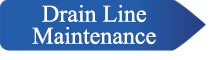 Drain Line Maintenance